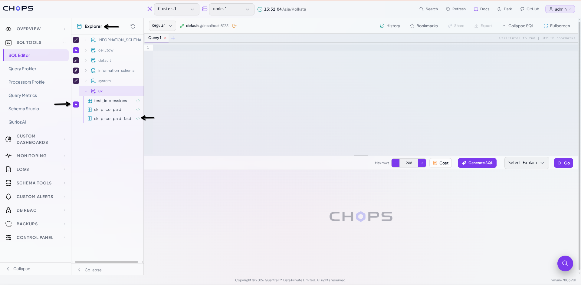 CHOps schema explorer showing databases and tables